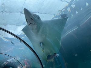 img-8544