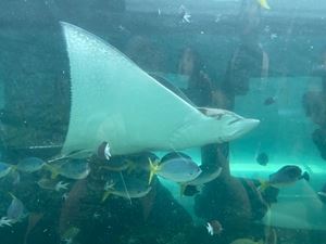 img-8545