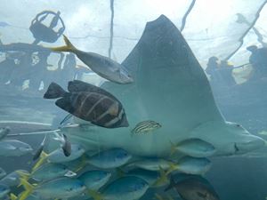 img-8546