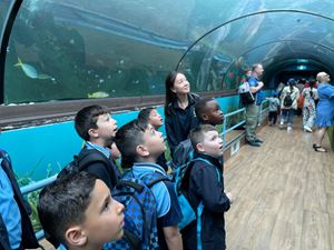 img-8547