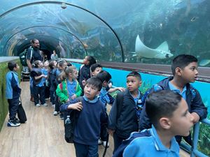 img-8549
