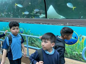 img-8550