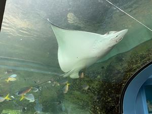 img-8551