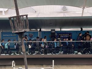 img-8558