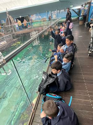 img-8564