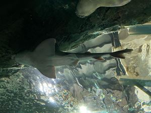 img-8576