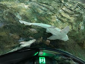 img-8578