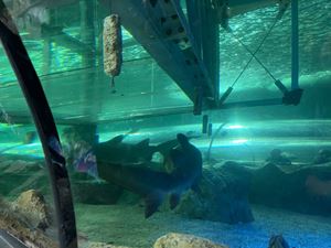 img-8580