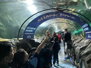img-8581