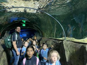 img-8584