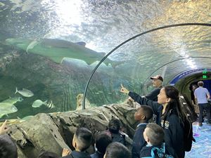 img-8587