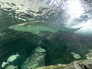 img-8588