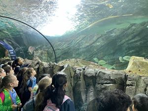 img-8589