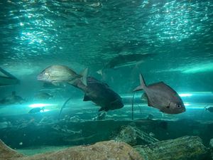 img-8591
