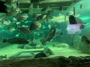 img-8595