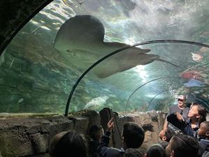 img-8597
