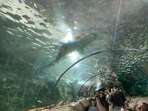 img-8598