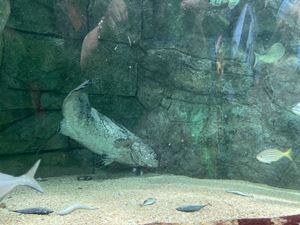 img-8600