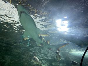 img-8602