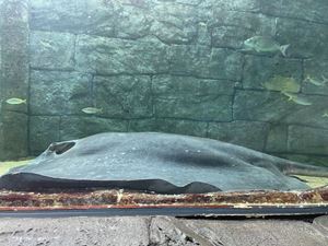 img-8605