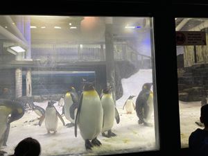img-8607