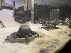 img-8608