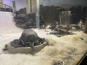 img-8609