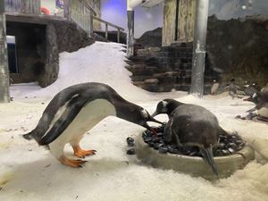 img-8611