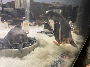 img-8612