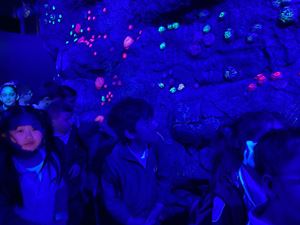 img-8620