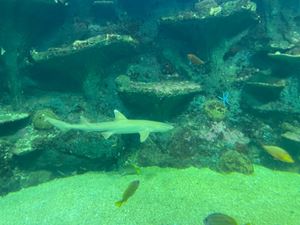 img-8624