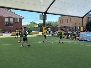 img-0059