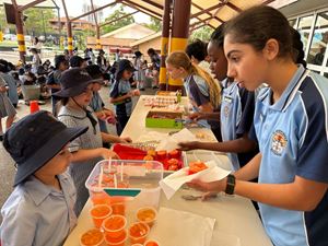 img-0231