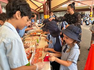 img-0234