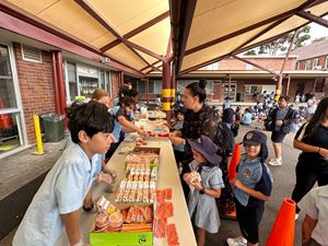 img-0237