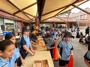 img-0244