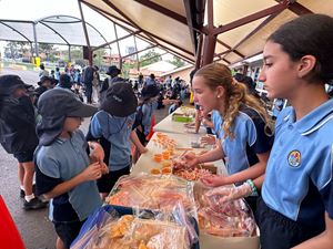 img-0246