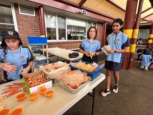 img-0249