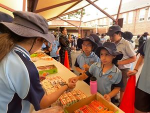 img-0250
