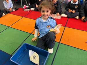 img-0225