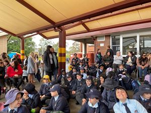 img-0411