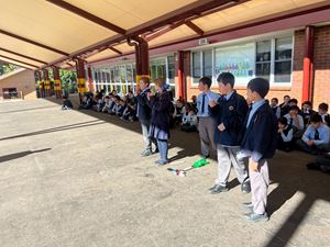 img-0278