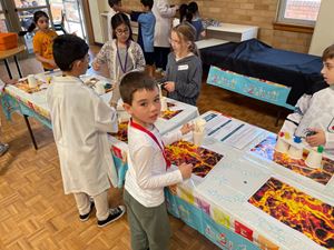 img-35521