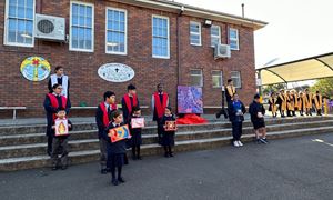 img-4866