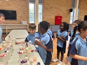 img-2847