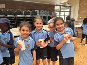 img-2851