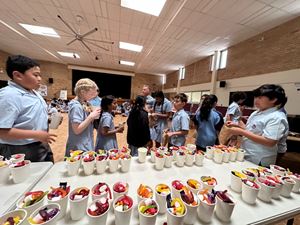img-2987