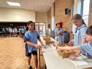 img-3154