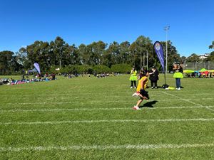 img-3331