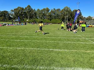 img-3347